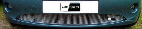 Zunsport Front Stainless Steel Lower Grille to fit BMW Z4 2003-2006