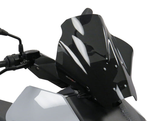 SCOOTER SCREEN wind fly deflector BMW, CE 04, 2022 - 2024 (455 MM HIGH)