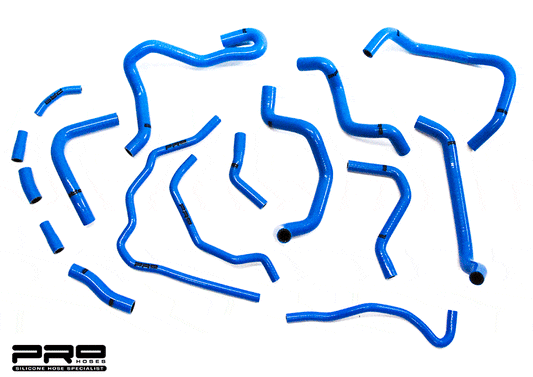 -PRO HOSES 16-PIECE ANCILLARY HOSE KIT FOR FOCUS RS MK3